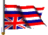 State Flag Inverted